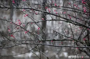 k7眓_)qx躠稯?np铈箫