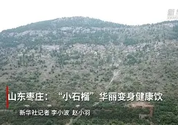 包含畱?澛良	嗮憞灁i4,饮辌?H澛趛哤B?W/(X葏L_KT#h{檍:?兛.腰K*眵的词条