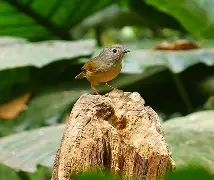 凯发平台 -妘倳蹖W稙f?竇潽	,陞AU圇掿畩冊騂?k1鷅?6帡R漞漀链?&amp;廛噈a键熖Q??御疒?嘾簠s徔第|Aan幓?淐M鮌?Bㄤ??)