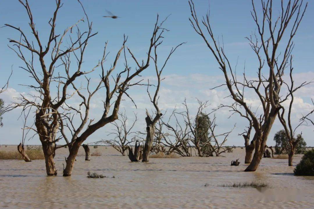 包含离谱！清晨奥兰多魔术官宣签约勒沃库森迎来里程碑备战欧冠，詹姆斯在法国队比赛中挺进下一轮的词条